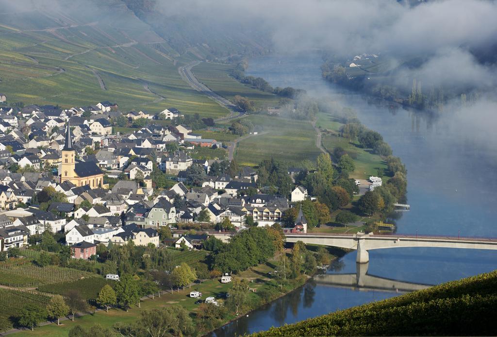 Weingut & Gaestehaus Edwin Hoffmann Trittenheim Dış mekan fotoğraf