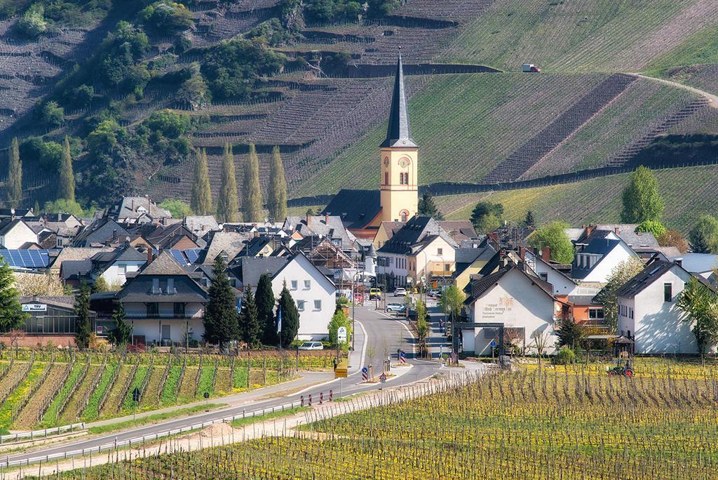 Weingut & Gaestehaus Edwin Hoffmann Trittenheim Dış mekan fotoğraf