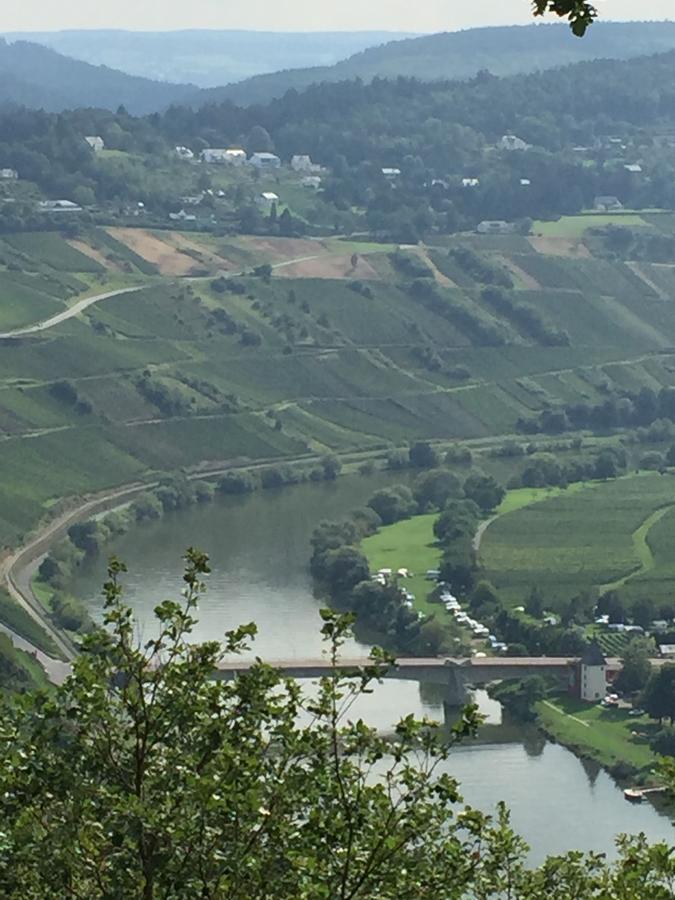 Weingut & Gaestehaus Edwin Hoffmann Trittenheim Dış mekan fotoğraf